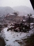 20090101-IMAG0017.jpg 20090101-IMAG0017.jpg