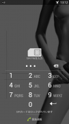 PIN入力画面 PIN入力画面