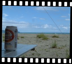 夏の海の主役